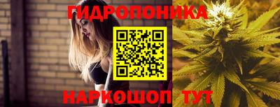 крисы Ангарск