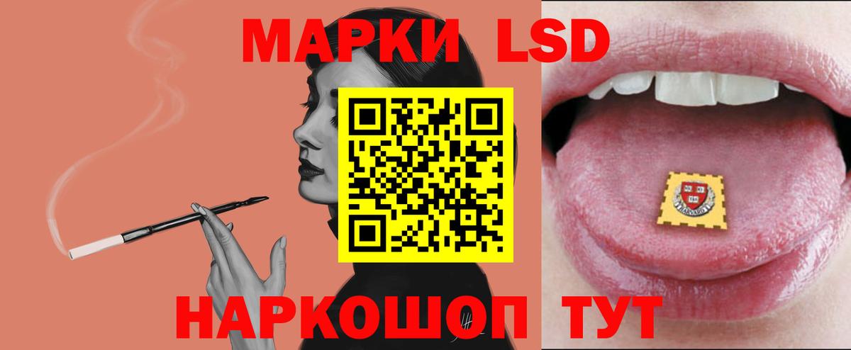Бердск  LSD-25 экстази ecstasy  Вход с VPN  Лсд 25 экстази ecstasy 