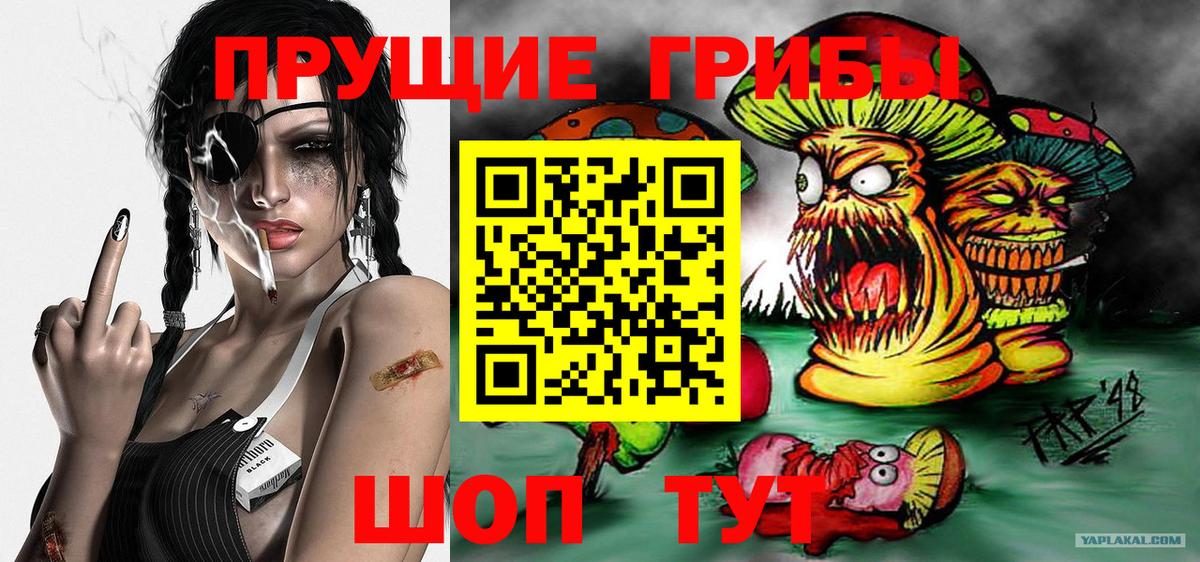 Псилоцибиновые грибы мицелий Бердск