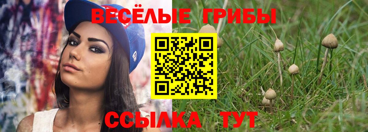 Галлюциногенные грибы прущие грибы  Вход с VPN  Бердск  наркотики  Псилоцибиновые грибы мухоморы 